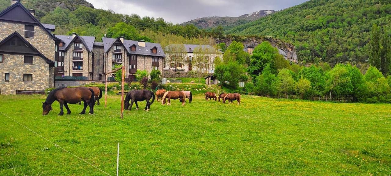 Los Cachorros El Pueyo de Jaca Kültér fotó